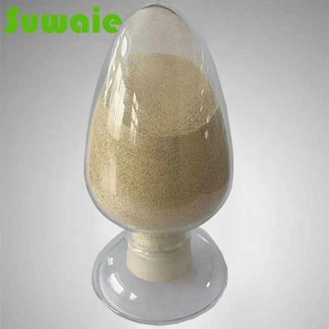 Magnesium Oxide Pure Powder Magnesium Oxide Pure Powder